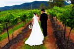 Wandin Valley vineyards